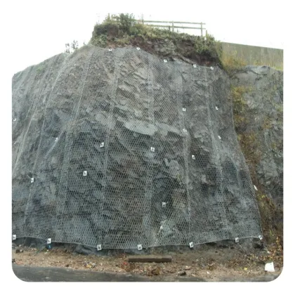 SNS Slope Protection System: Active Earthen Slope Protection Net