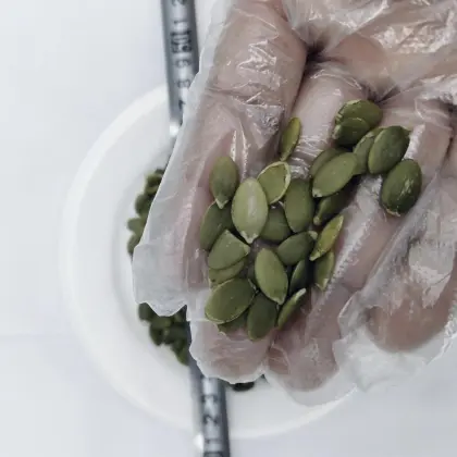Top Quality Pumpkin Seeds