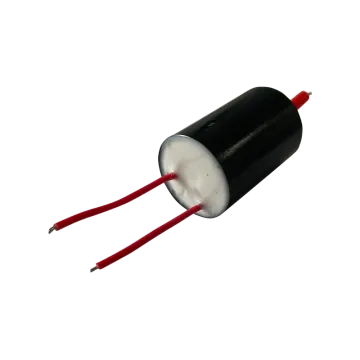 High Frequency High Voltage Transformer for Beauty Instruments - Stable Performance Electrotherapy Package
