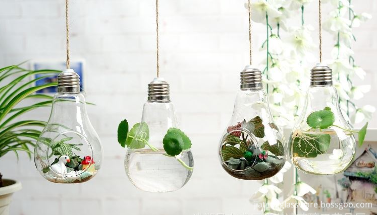 Hanging Clear Glass Vase 