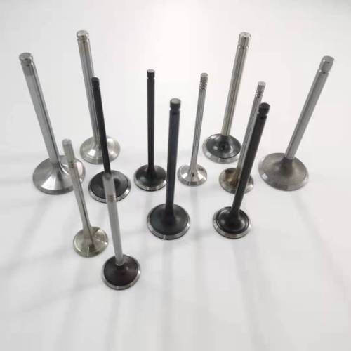 Widely Used intake & exhaust engine valve