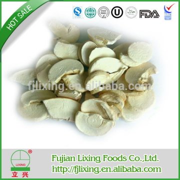 Economic stylish hot sale freeze dried mushroom