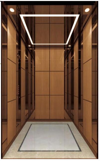 Ascensor residencial de ascensor residencial personalizado como solicitud