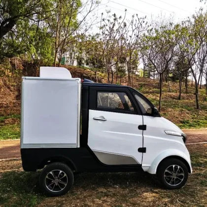 Green New Energy Cargo for Sale