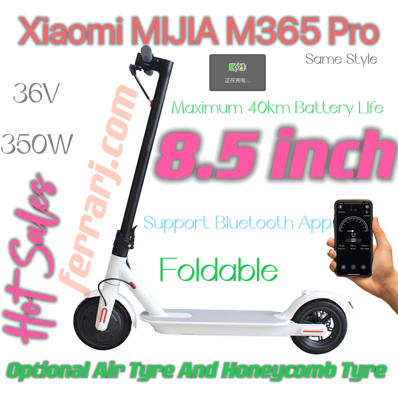 m365