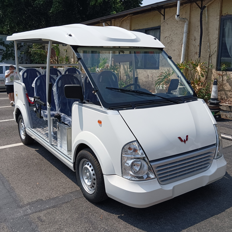 8-seater open electric car