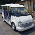 8-seater open electric car