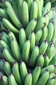 FRESH CAVENDISH BANANA FOR SALE.