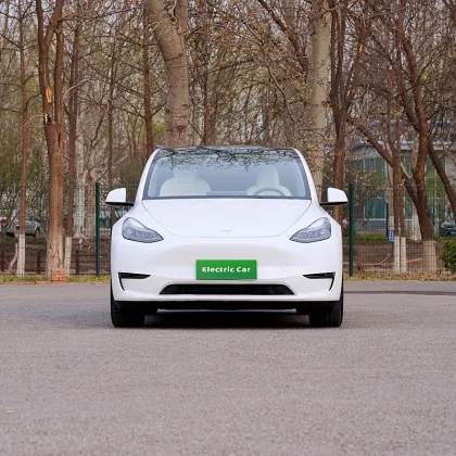 Pure electric SUV tesla model y