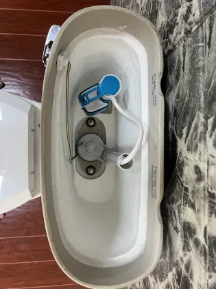 American Modern Extended Height Ceramic Siphon Flush Split Toilet