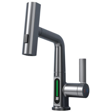 Modern Style Steel Pull Out Sanitary Faucet for Kitchen and Bathroom