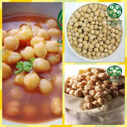 Wholesale China chickpeas of good quality (2013 crop)