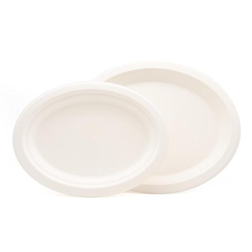 China sugarcane fiber disposable tableware 9 inch paper plate Supplier