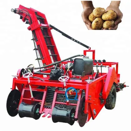 Hot Sale Agro Machines: Efficient Double Row Small Potato Harvester