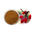 Dogwood Extract Powder for Male