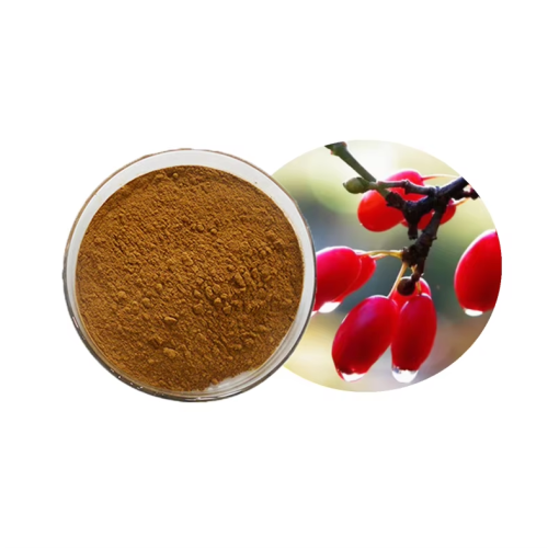 Dogwood Extract Powder for Male