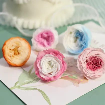 Wholesale Preserved Austin Roses for Wedding Decor