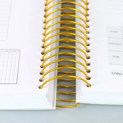 Personalized Mental Health Spiral Diary for Black Women