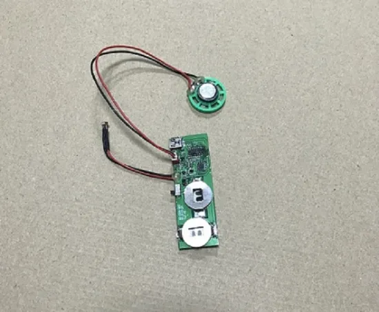 MP3 Voice Module with CDS Light Activation Feature