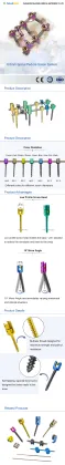 6.0 Spinal Pedicle Screw System
