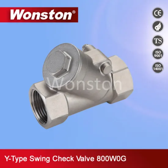New Design Y Type Swing Check Valve 800wog for Water