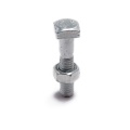 Stainless Steel Square-head Bolt