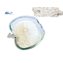 YXchuang Birch Bark Extract Betulinic Acid Betulin