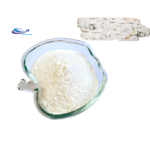 YXchuang Birch Bark Extract Betulinic Acid Betulin