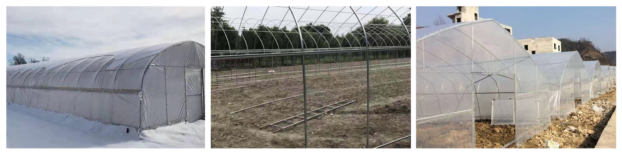 single-unit arched greenhouse