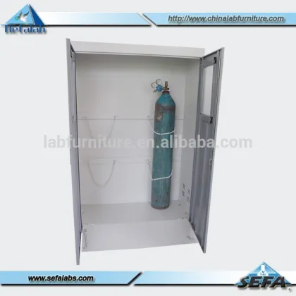 Hot Gas Cylinder Cabinet For Laboratory
