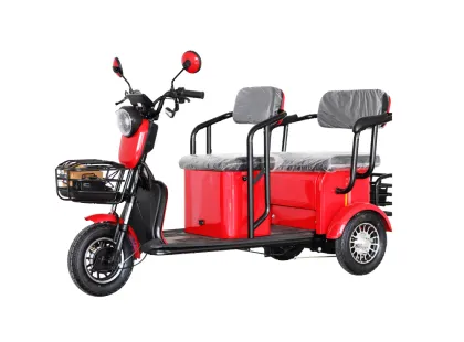 Electric Tricycle ZP008K 750W