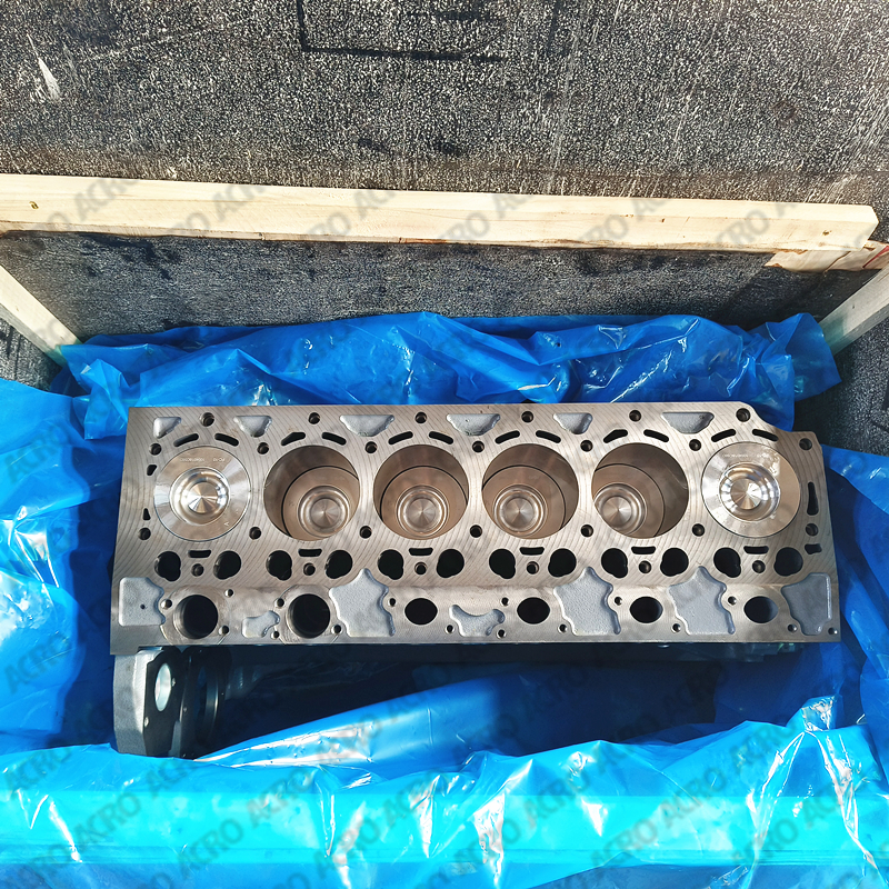 ACRO_TCD2012 6L 2V_short block (3)_