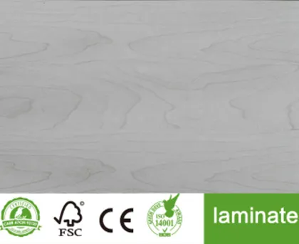 Fine Line Grains Surface in Laminate Products