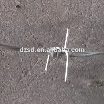 electro galvanized barbed wire(China manufacturer)