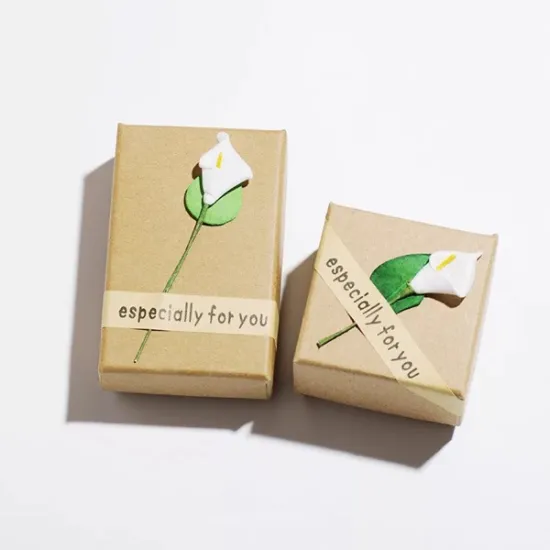 Earring packaging storage box with lid