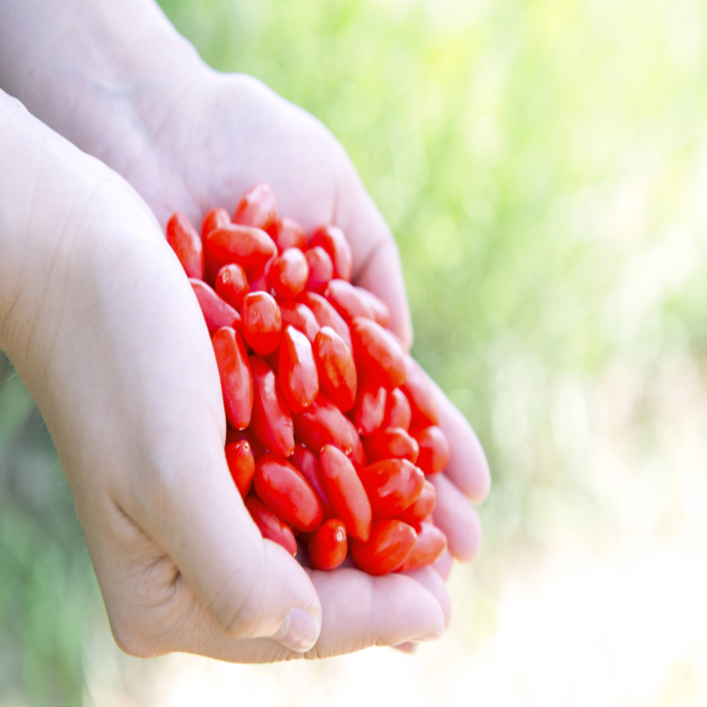 ubat yang boleh dimakan Goji Berry Organik