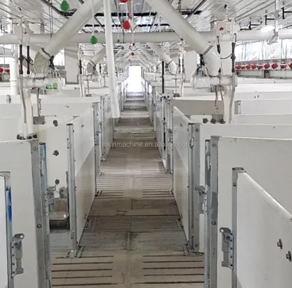 Pig Farm Automatic Feeding System Equipment for Livestock Farm Construction