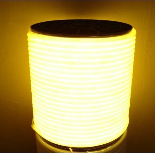 Dia20mm round shape neon tube light