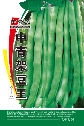 Light green beans seeds in vegetable seeds