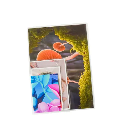 Lucky Photo Paper - Glossy/Matte, Waterproof Inkjet Photo Paper Roll