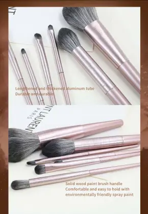 10 Pcs b s mall makeup brushes set