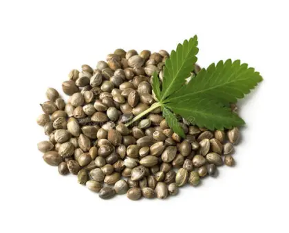 Hot Sale hemp seed extract hemp seed powder