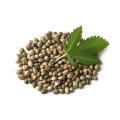 Hot Sale hemp seed extract hemp seed powder