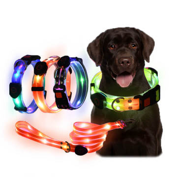 Waterproof LED Dog Collar with Nighttime Reflective Features