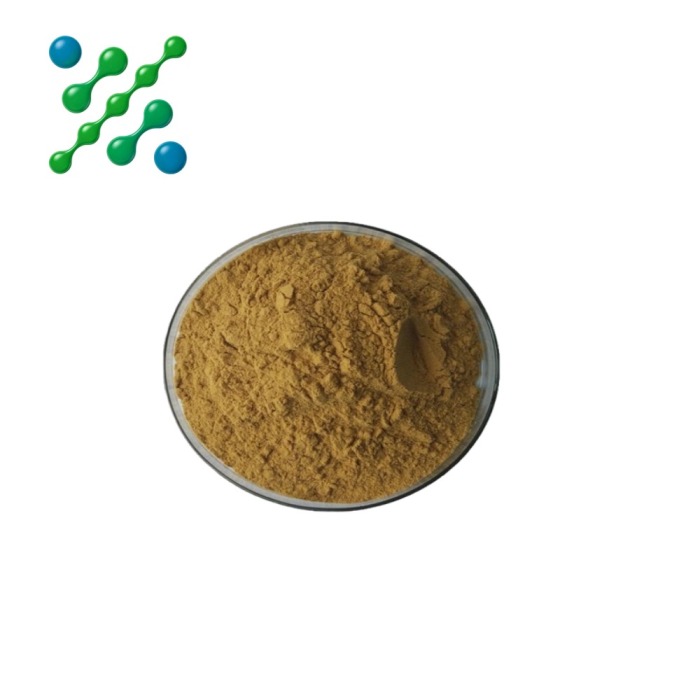 Standardized Andrographis Extract Powder