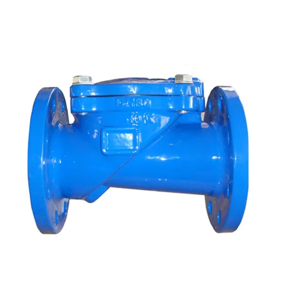 BS5153 ductile cast iron flexible disc check valve