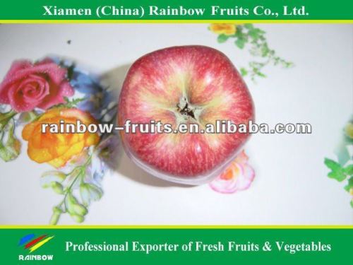 Gansu Fresh Apple