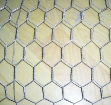 Galvanised Chicken Wire Netting Fence/Anping Hexagonal Mesh