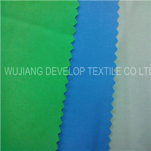 Full Dull Nylon Taslon Oxford Fabric for Jacket Fabric/Clothes Fabric (DN3005A)