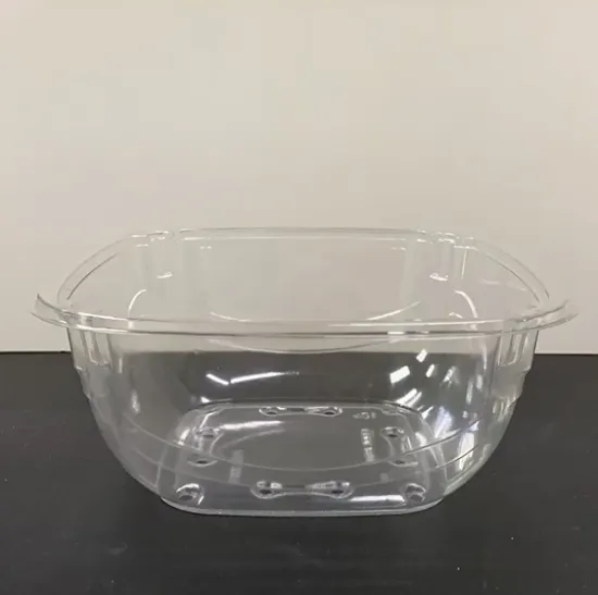 Machine Plastic PET Tomato Tub